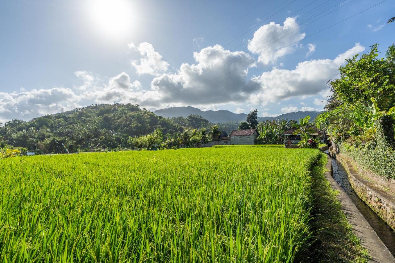 Pondok Carik Villa Manggis Ngoại thất bức ảnh