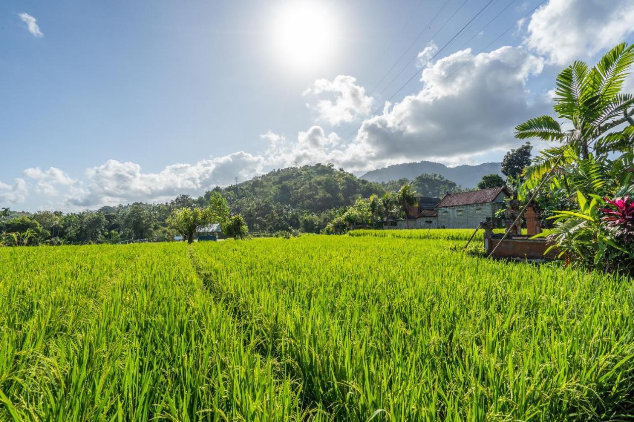 Pondok Carik Villa Manggis Ngoại thất bức ảnh