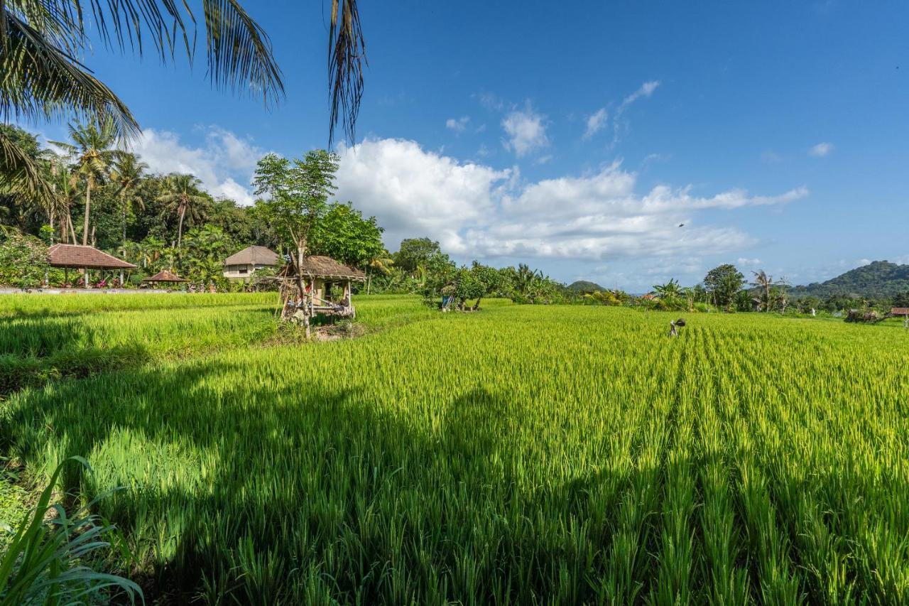 Pondok Carik Villa Manggis Ngoại thất bức ảnh