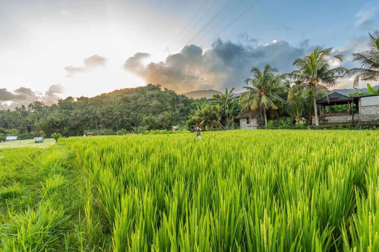 Pondok Carik Villa Manggis Ngoại thất bức ảnh