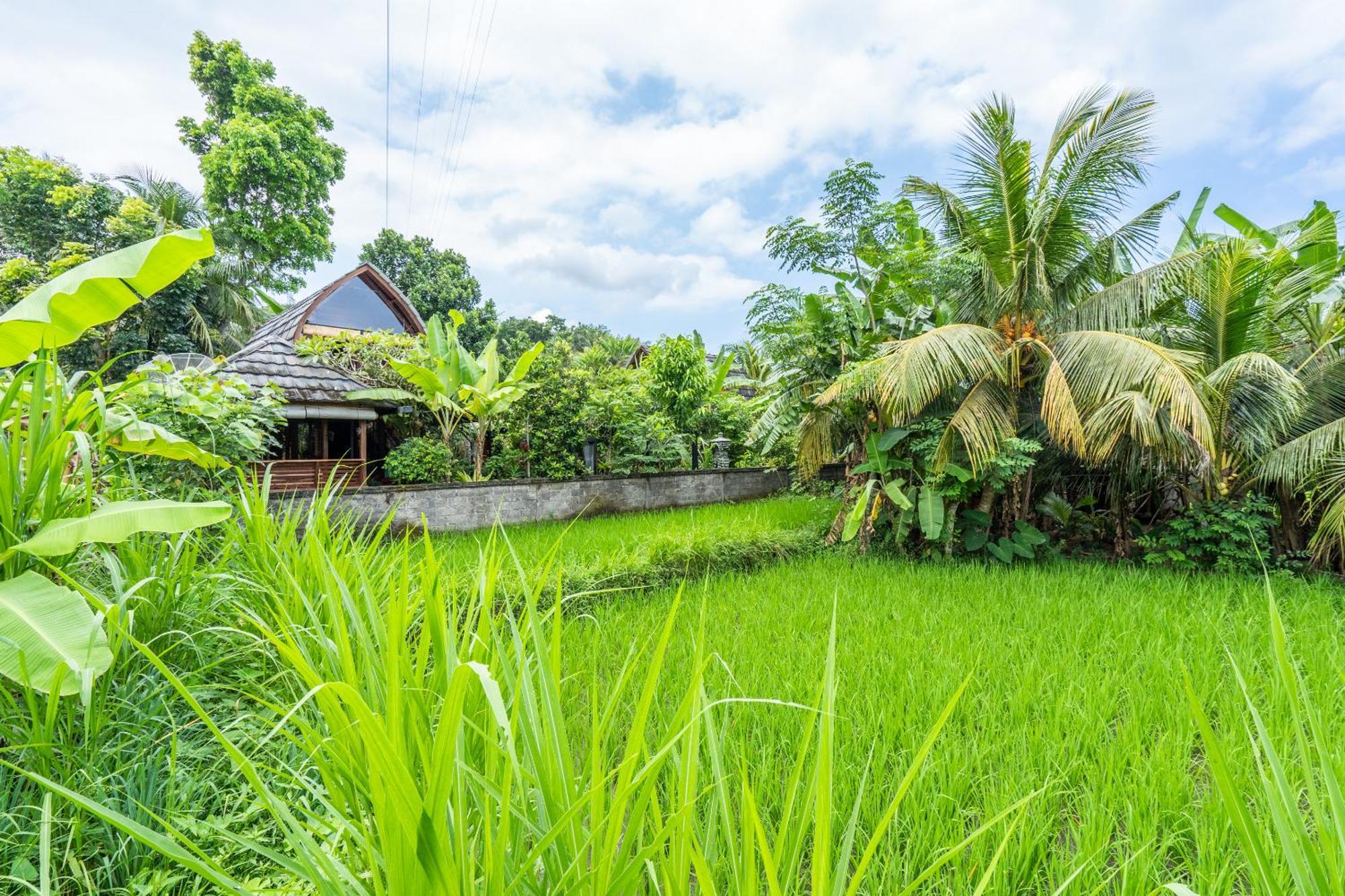 Pondok Carik Villa Manggis Ngoại thất bức ảnh