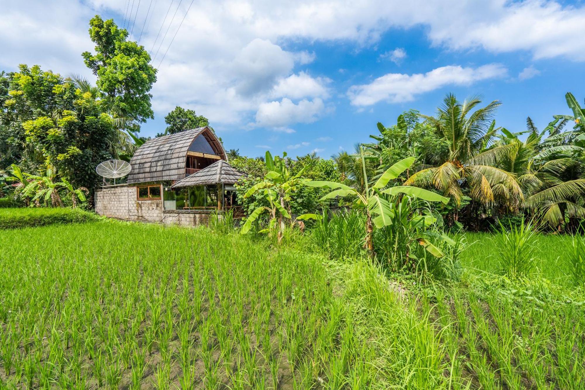 Pondok Carik Villa Manggis Phòng bức ảnh